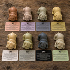 The Complete Good Boy Collection