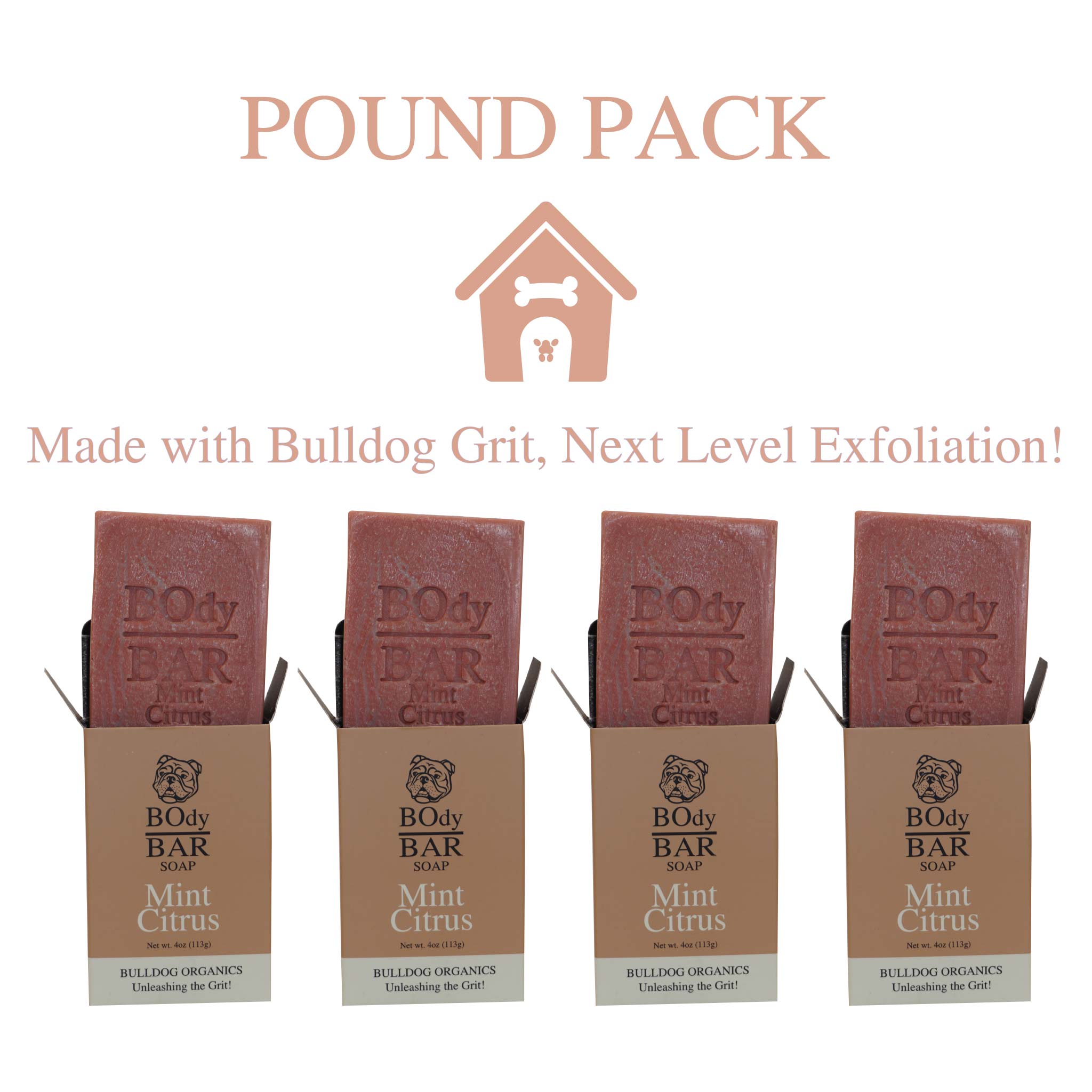 POUND PACK Natural Mint Citrus BOdy Bar Soap
