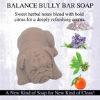Balance BULLY BAR Soap