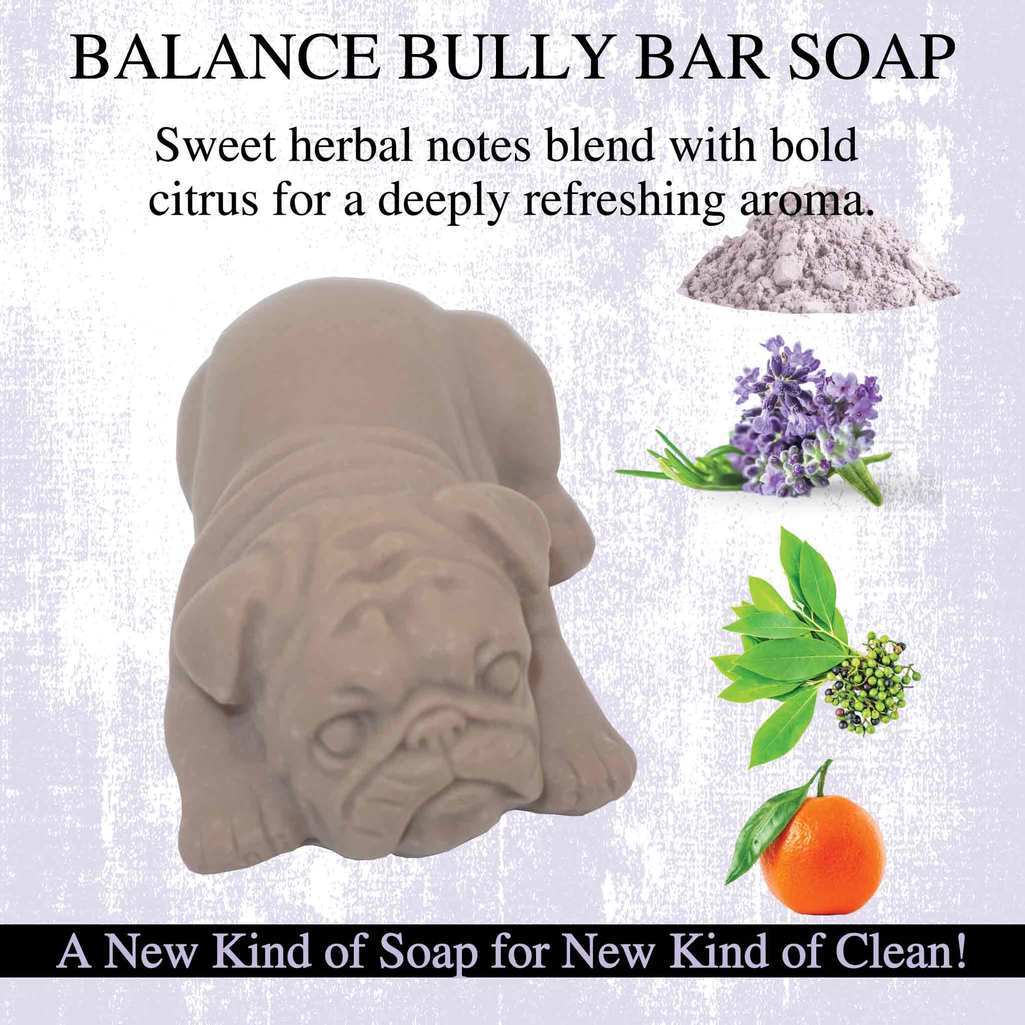 Balance BULLY BAR Soap