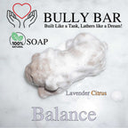 Balance BULLY BAR Soap