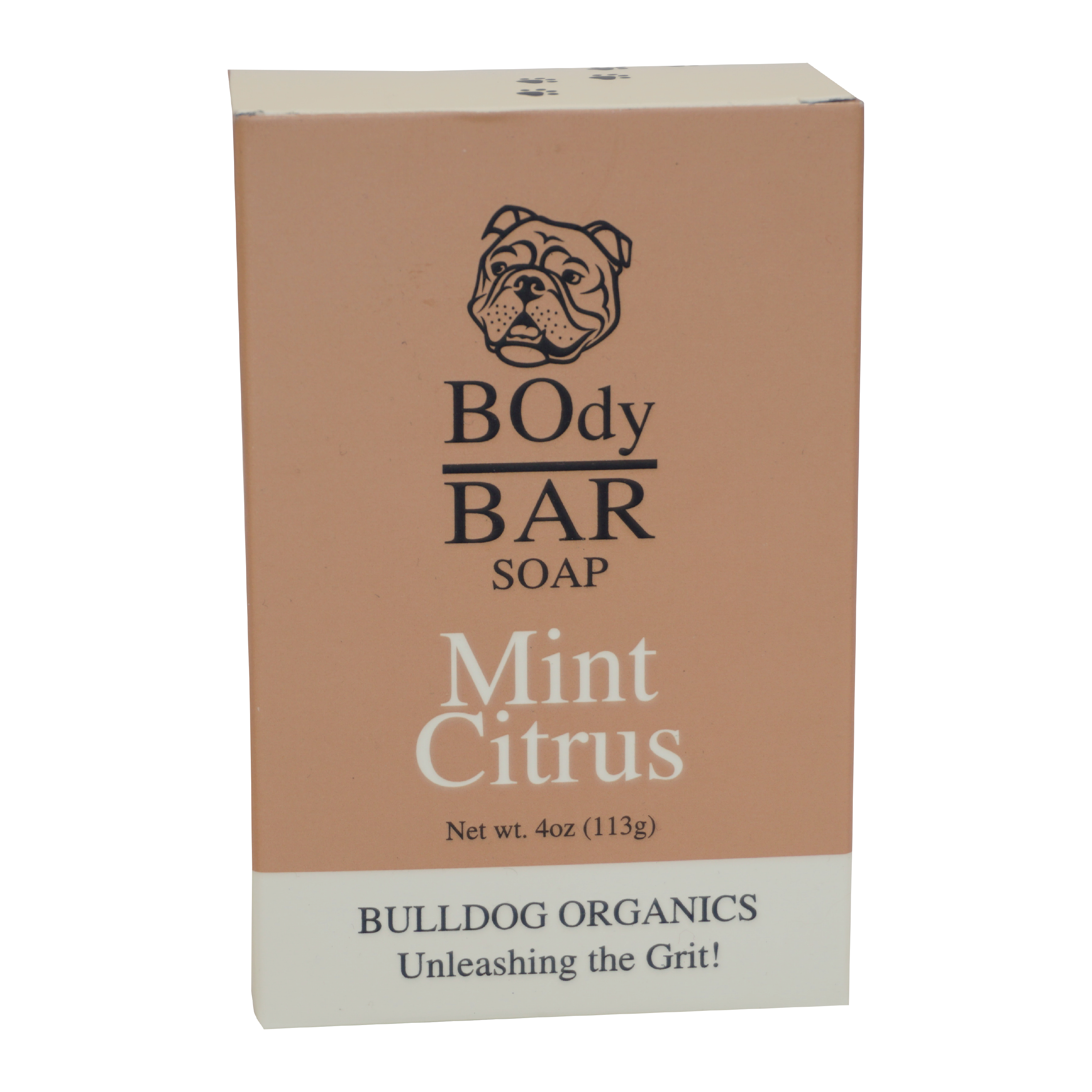 Mint Citrus BOdy Bar Soap