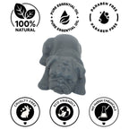 Detox BULLY BAR Soap