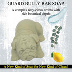 Guard BULLY BAR