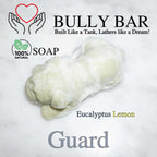 Guard BULLY BAR
