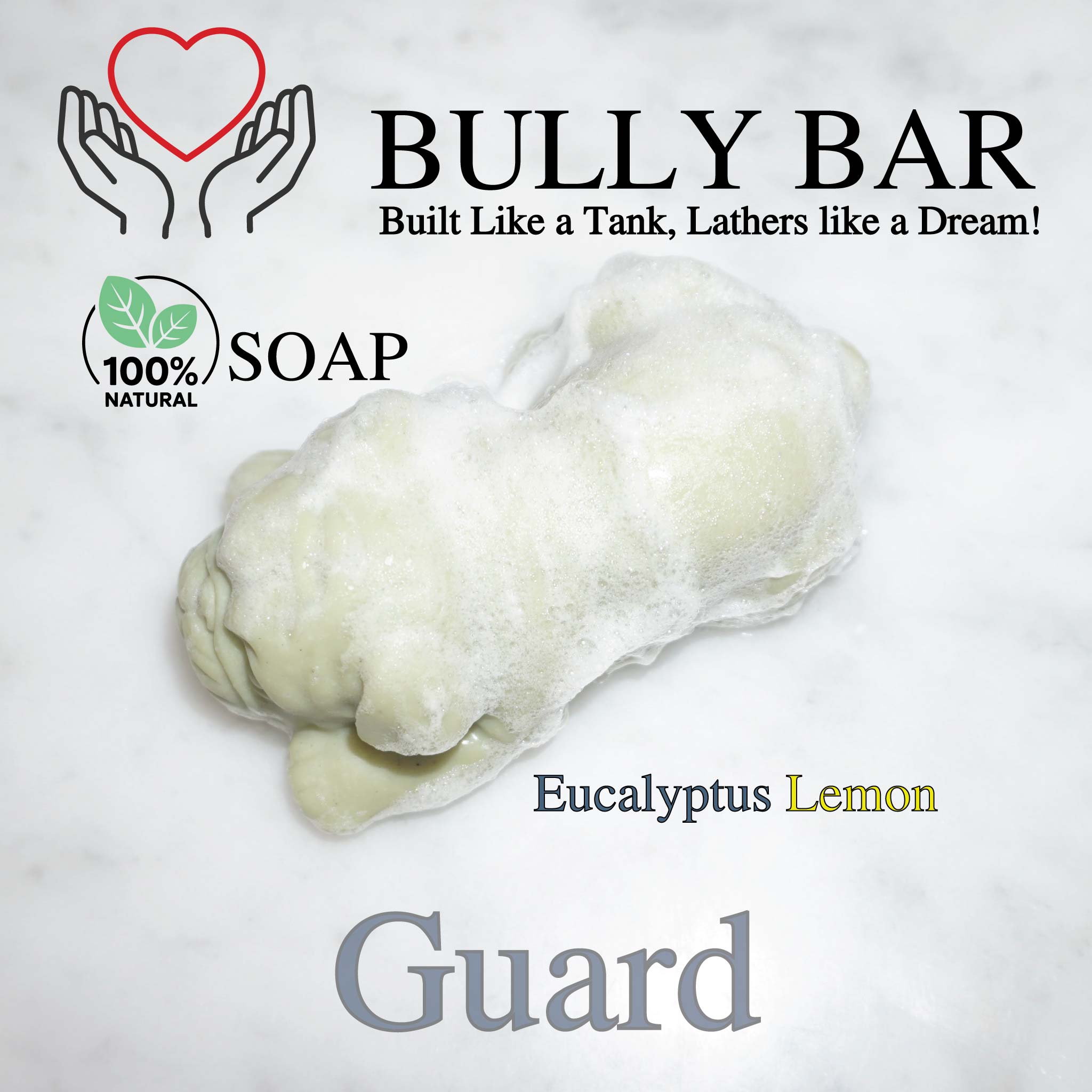 Guard BULLY BAR