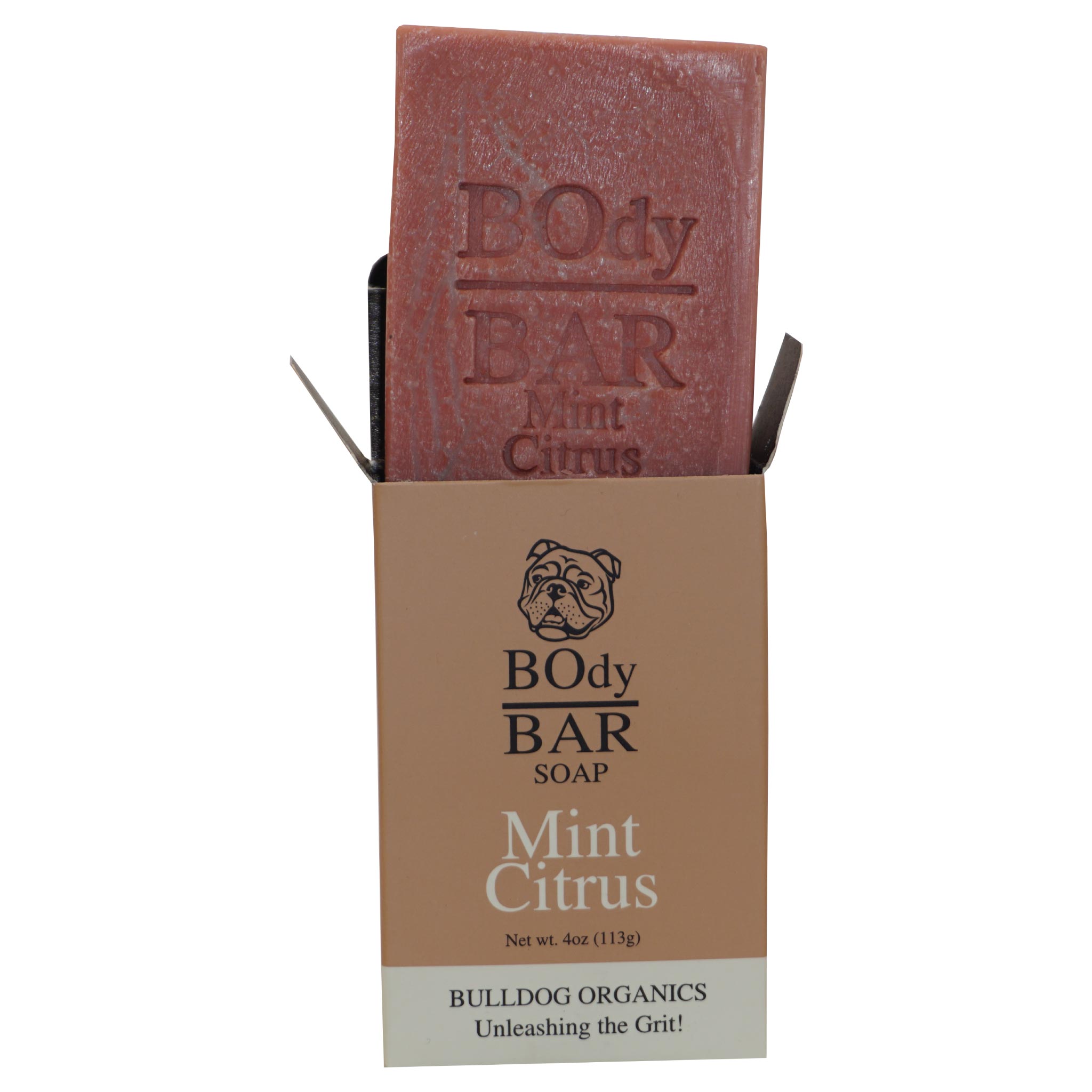 Natural Mint Citrus BOdy Bar Soap