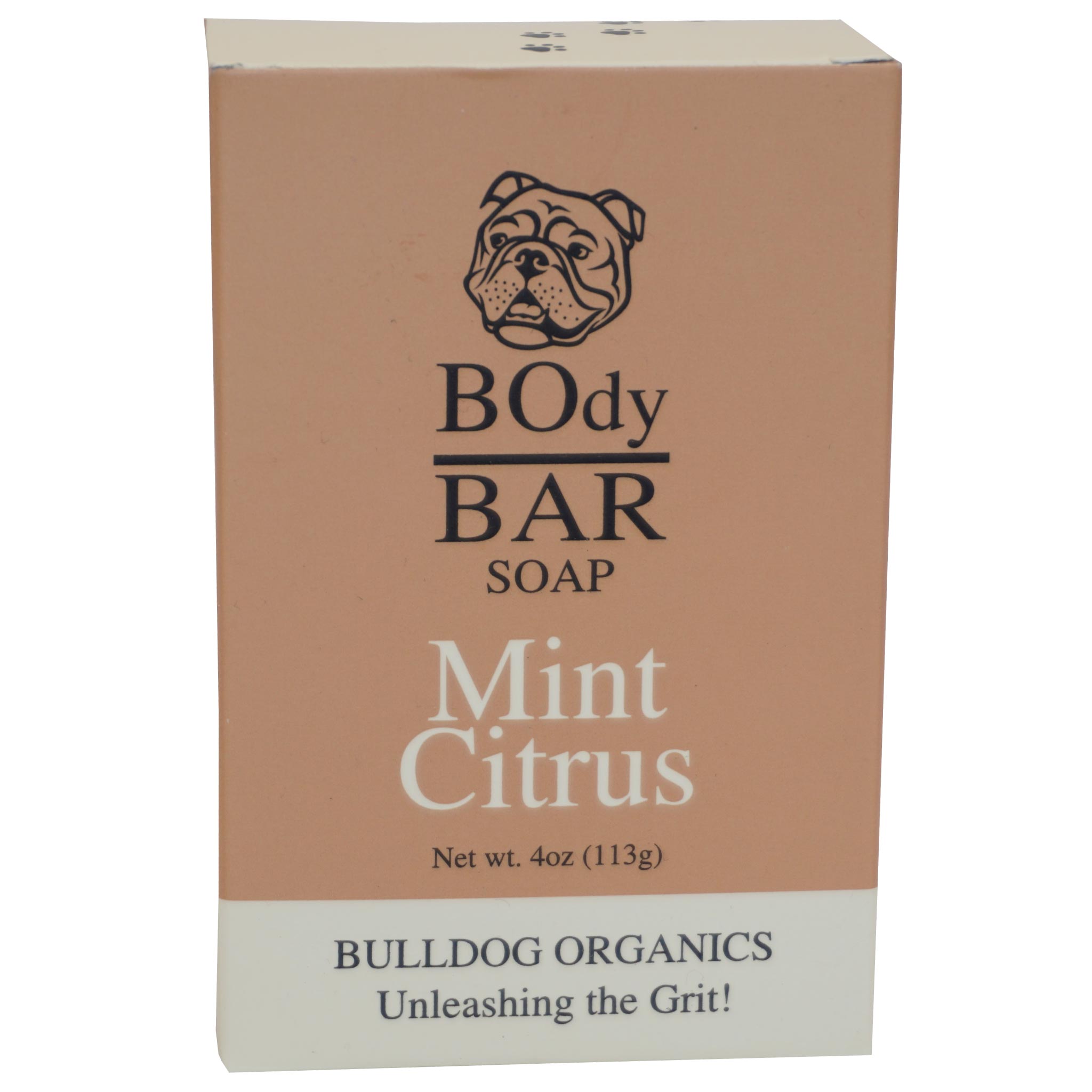 Natural Mint Citrus BOdy Bar Soap