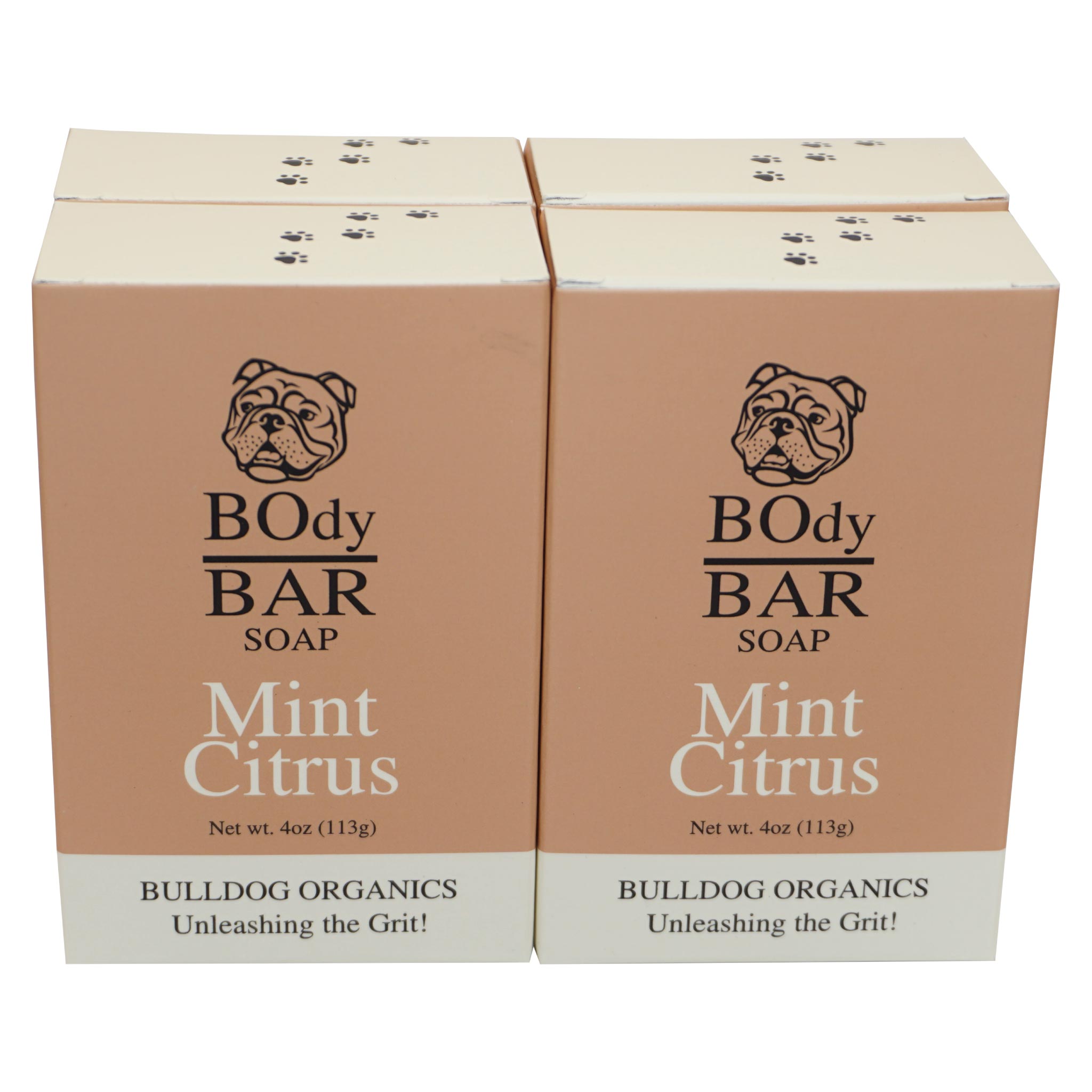 POUND PACK Natural Mint Citrus BOdy Bar Soap