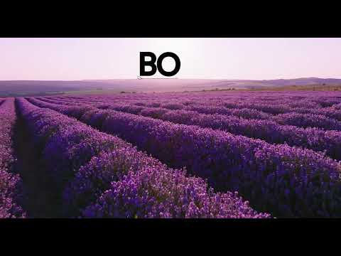 Natural Lavender BOdy Bar Soap