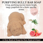 Purifying BULLY BAR Soap