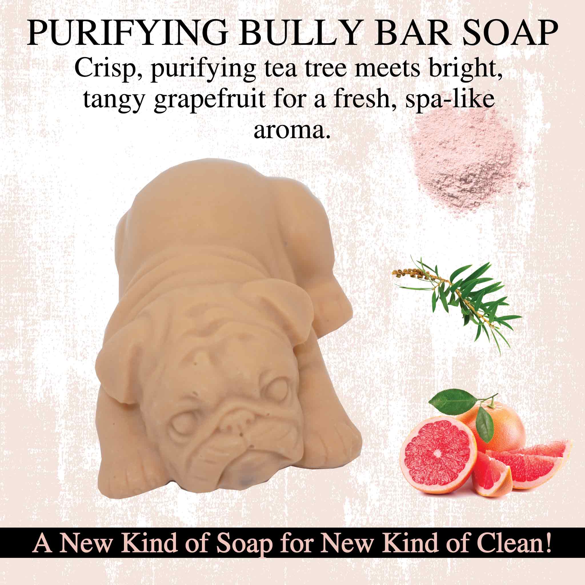 Purifying BULLY BAR Soap