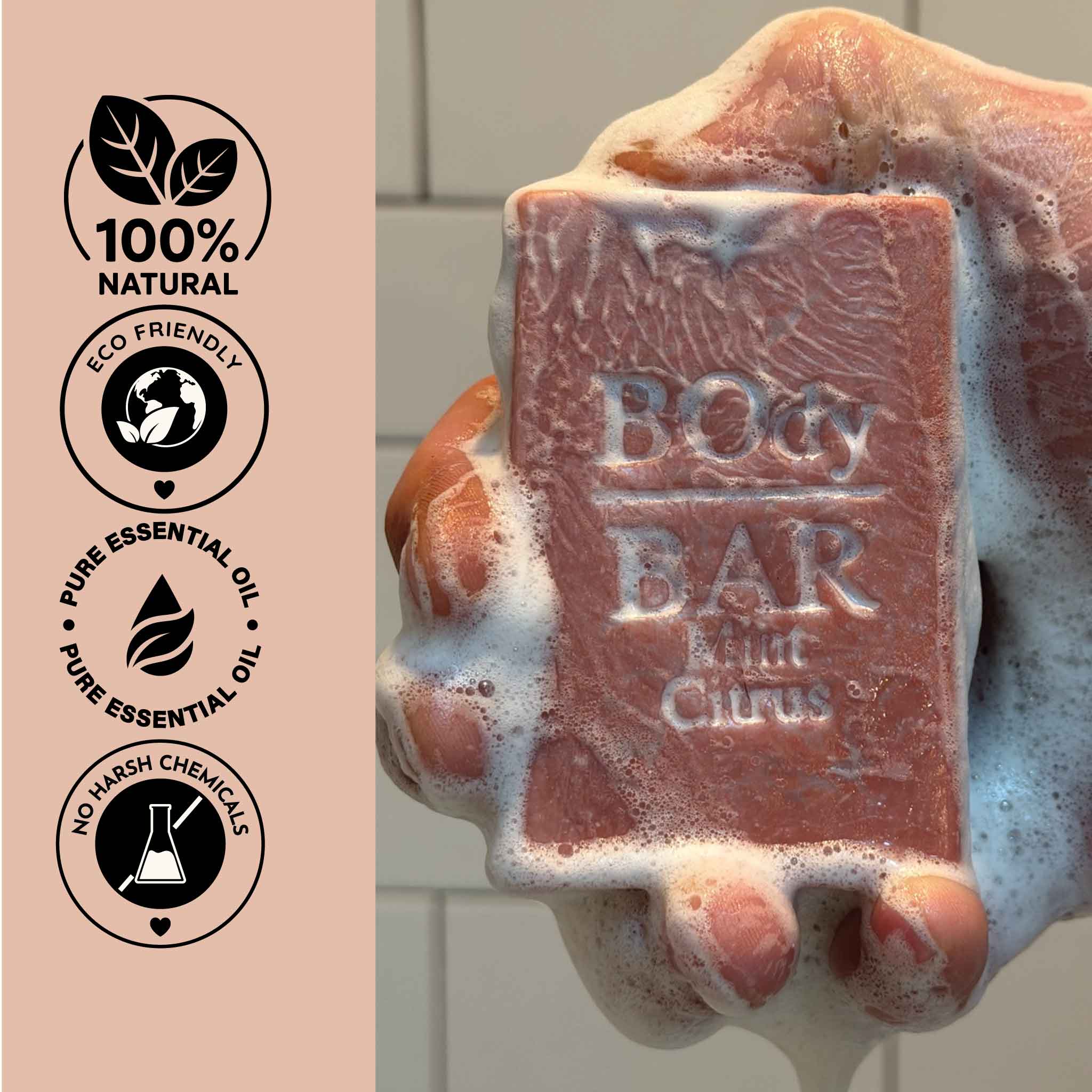 VARIETY POUND PACK BOdy Bar Soaps NO. 3